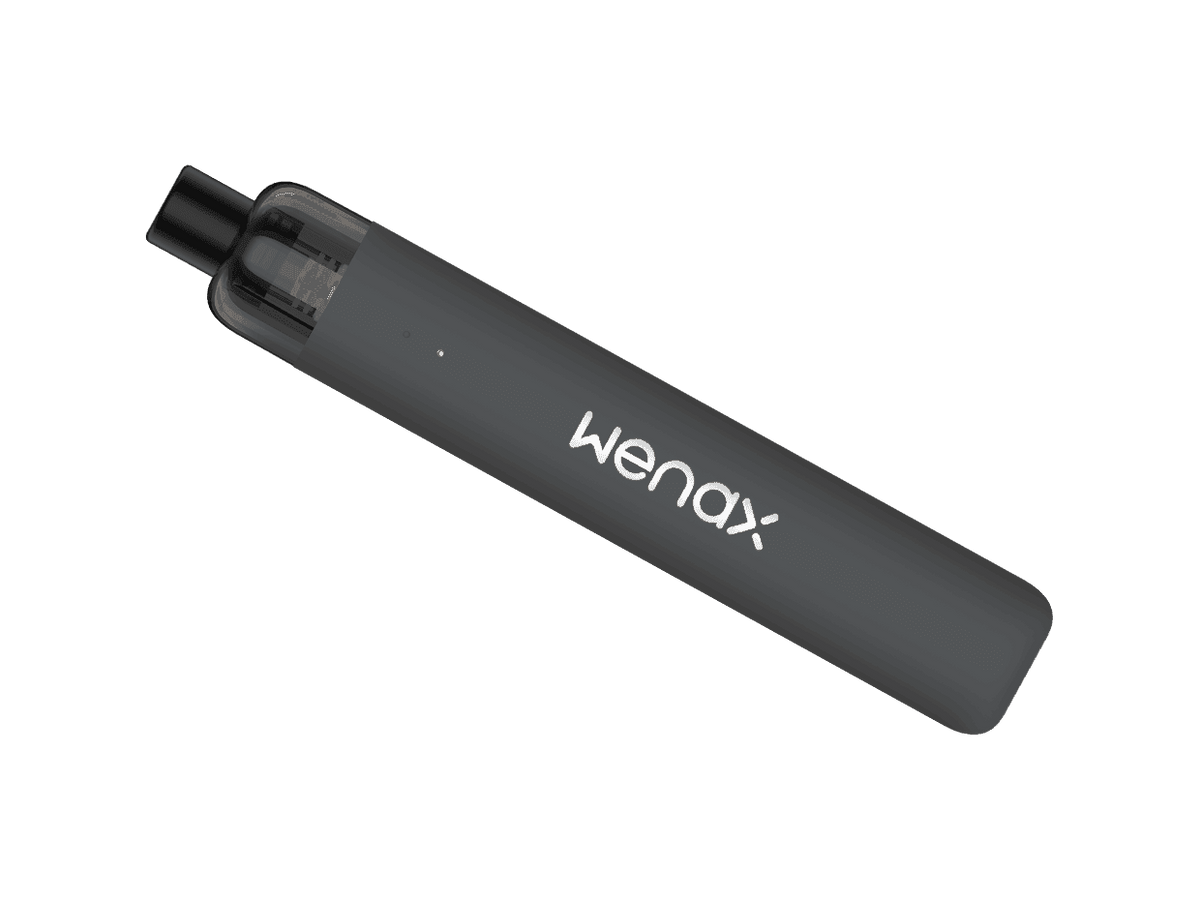 Geekvape Wenax Stylus Granite Gray - Click & Vape